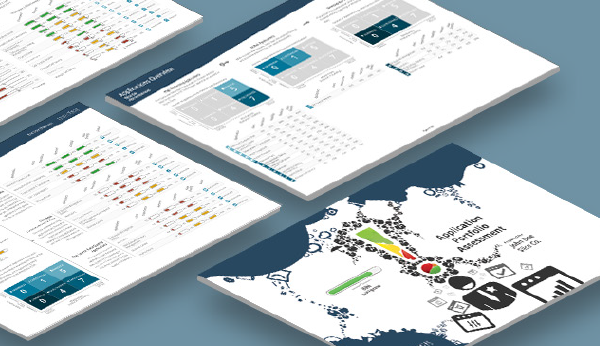 Application Portfolio Assessment
