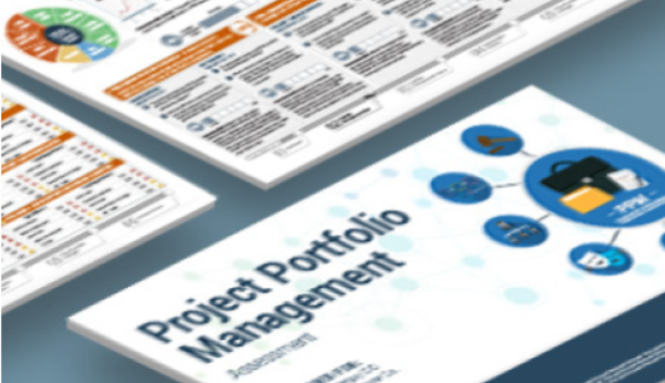 Project Portfolio Assessment